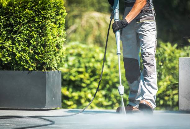 Best Driveway Pressure Washing  in Mount Sterling, IL