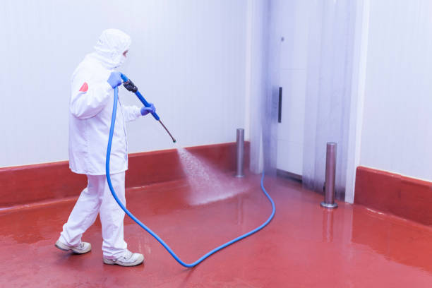 Best Building Exterior Washing  in Mount Sterling, IL